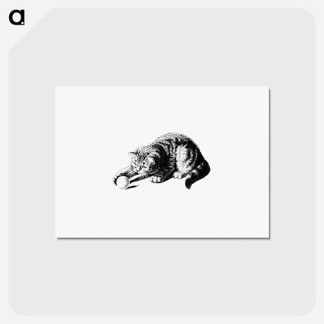 アートポストカード-Playful Cat
 - 大英図書館 Postcard.
