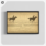 2-50_Eadweard-Muybridge_blk-crop