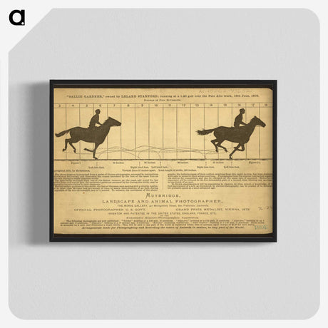 2-50_Eadweard-Muybridge_blk-crop