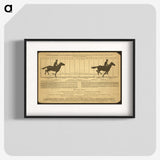 2-50_Eadweard-Muybridge_blk