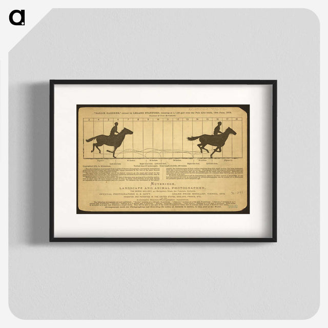 2-50_Eadweard-Muybridge_blk