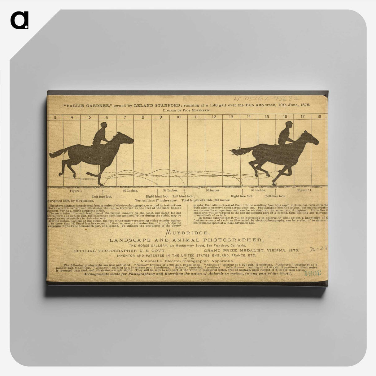 2-50_Eadweard-Muybridge_canvas