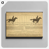 2-50_Eadweard-Muybridge_canvas
