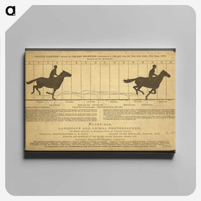 2-50_Eadweard-Muybridge_canvas