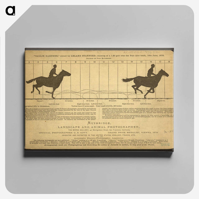 2-50_Eadweard-Muybridge_canvas