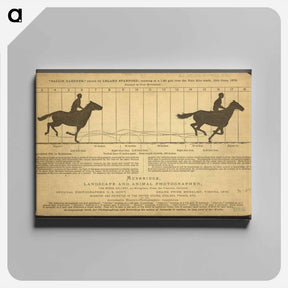 アートパネル-The Horse in Motion
 - エドワード マイブリッジ Canvas.