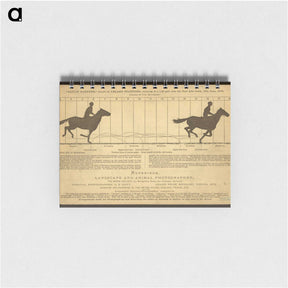 2-50_Eadweard-Muybridge_memo