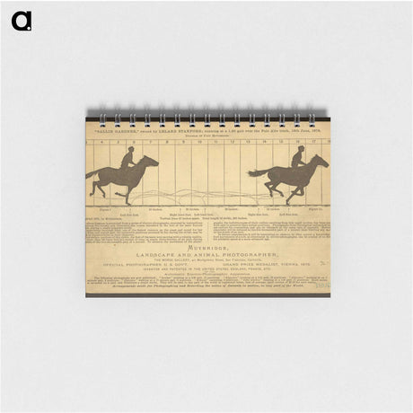 2-50_Eadweard-Muybridge_memo