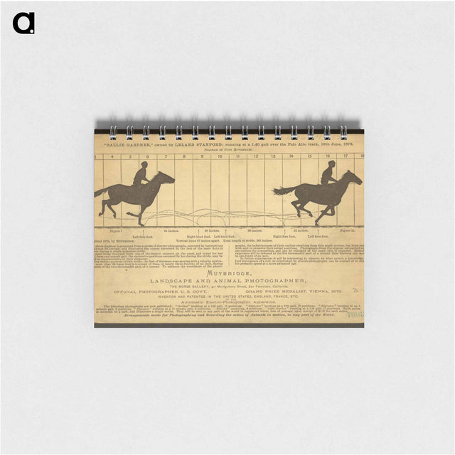 アートメモ帳-The Horse in Motion
 - エドワード マイブリッジ Memo.