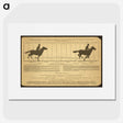 2-50_Eadweard-Muybridge_picture