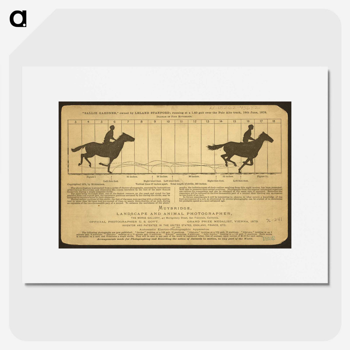 2-50_Eadweard-Muybridge_picture