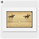 2-50_Eadweard-Muybridge_picture