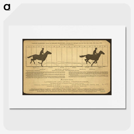 2-50_Eadweard-Muybridge_picture