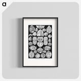 2-50_Ernst-Haeckel_blk