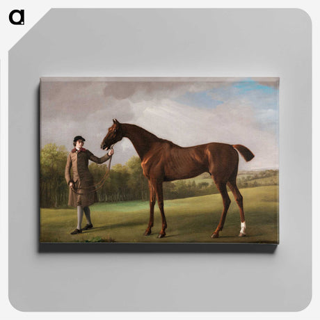2-50_George-Stubbs_canvas