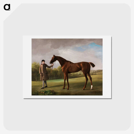 2-50_George-Stubbs_hagaki