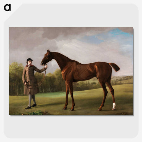 2-50_George-Stubbs_picture-crop