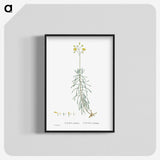 2-50_Histoire-des-Plantes-Grasses_blk-crop