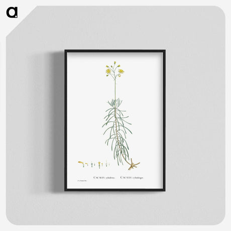 2-50_Histoire-des-Plantes-Grasses_blk-crop