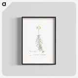 2-50_Histoire-des-Plantes-Grasses_blk