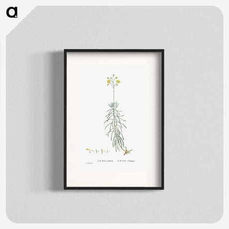 2-50_Histoire-des-Plantes-Grasses_blk