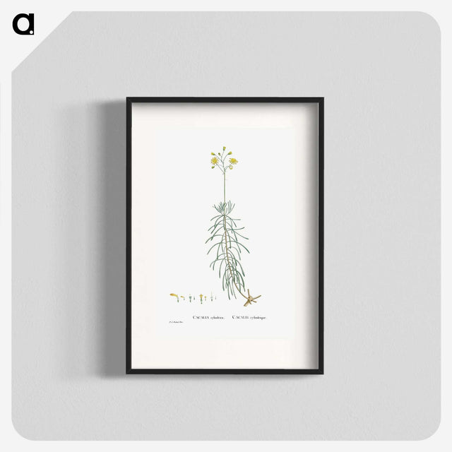 2-50_Histoire-des-Plantes-Grasses_blk