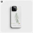 2-50_Histoire-des-Plantes-Grasses_phone