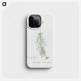 2-50_Histoire-des-Plantes-Grasses_phone
