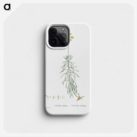 2-50_Histoire-des-Plantes-Grasses_phone