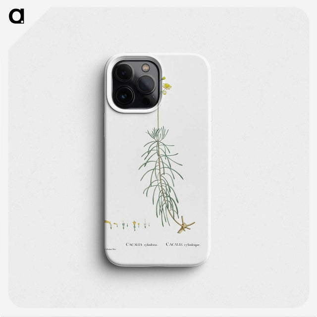 2-50_Histoire-des-Plantes-Grasses_phone
