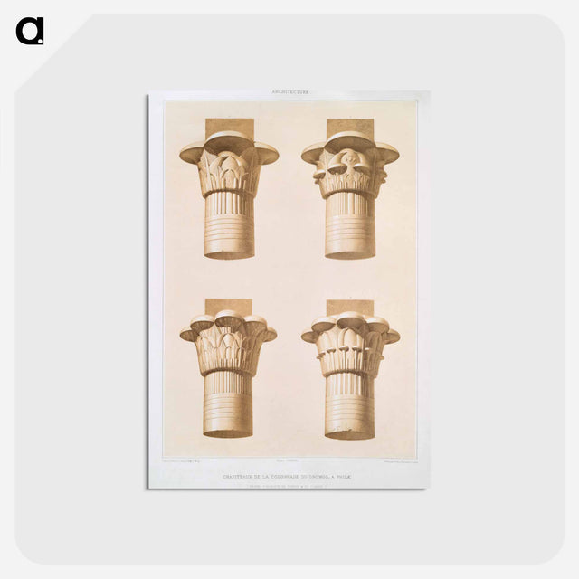 アートポストカード-Capitals of the Colonnade of Dromos, in Philae
 - エジプト美術史 Postcard.