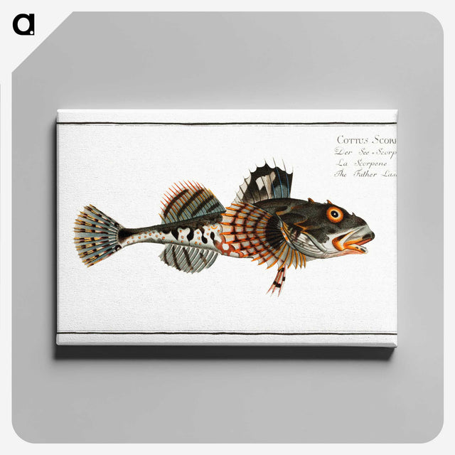 2-50_Ichtyologie-ou-Histoire-naturelle_canvas