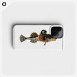 2-50_Ichtyologie-ou-Histoire-naturelle_phone