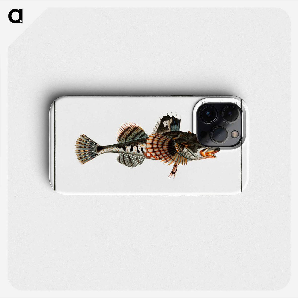2-50_Ichtyologie-ou-Histoire-naturelle_phone