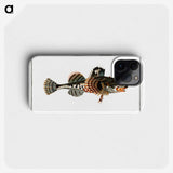 2-50_Ichtyologie-ou-Histoire-naturelle_phone