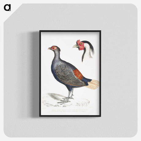 2-50_Indian-Zoology_blk-crop
