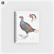 2-50_Indian-Zoology_memo