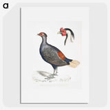 2-50_Indian-Zoology_picture