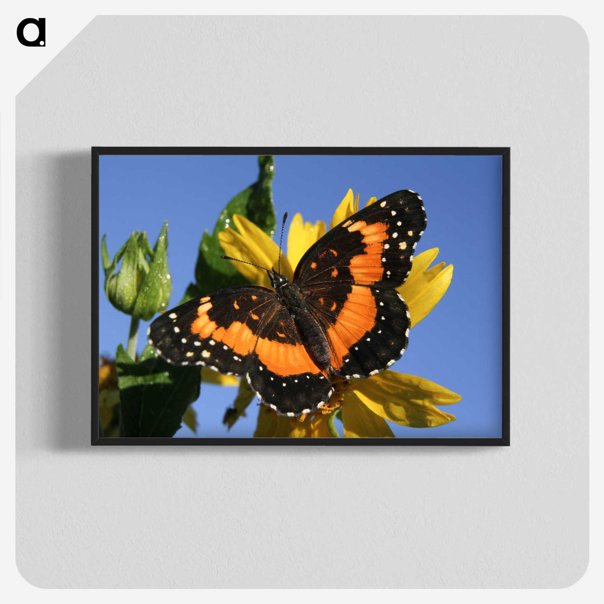 2-50_Insects-Unlocked-Project_blk-crop