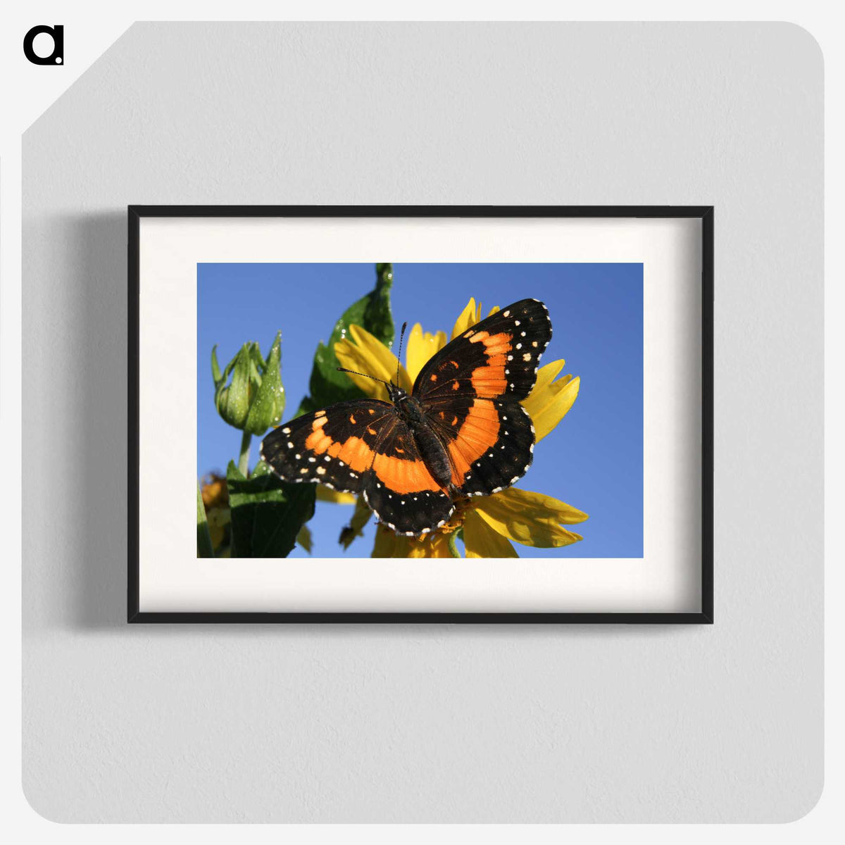 2-50_Insects-Unlocked-Project_blk