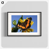 2-50_Insects-Unlocked-Project_blk