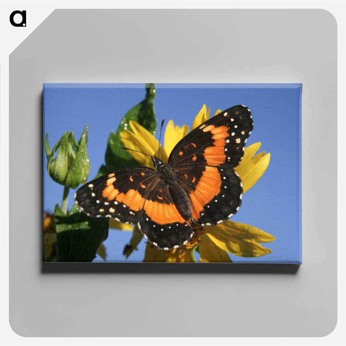 2-50_Insects-Unlocked-Project_canvas