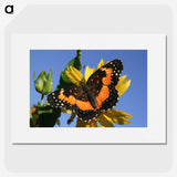 2-50_Insects-Unlocked-Project_picture