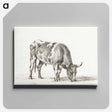 アートパネル-Grazing bull - ジャン ベルナール Canvas.