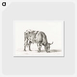 アートポストカード-Grazing bull - ジャン ベルナール Postcard.