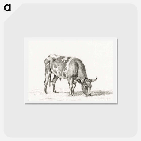 アートポストカード-Grazing bull - ジャン ベルナール Postcard.
