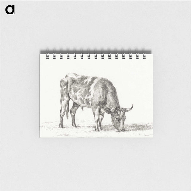 2-50_Jean-Bernard_memo
