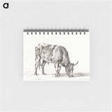 Grazing bull - ジャン ベルナール Memo.