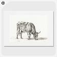 2-50_Jean-Bernard_picture