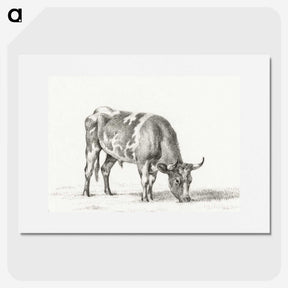 2-50_Jean-Bernard_picture